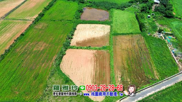 觀音農地-1