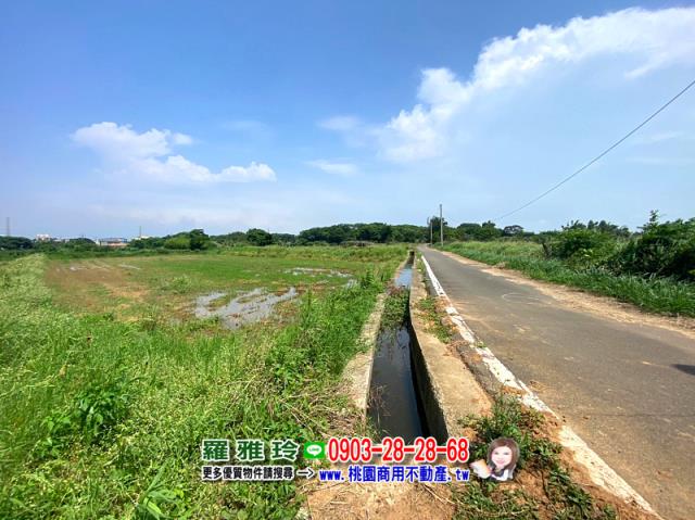 觀音農地-3