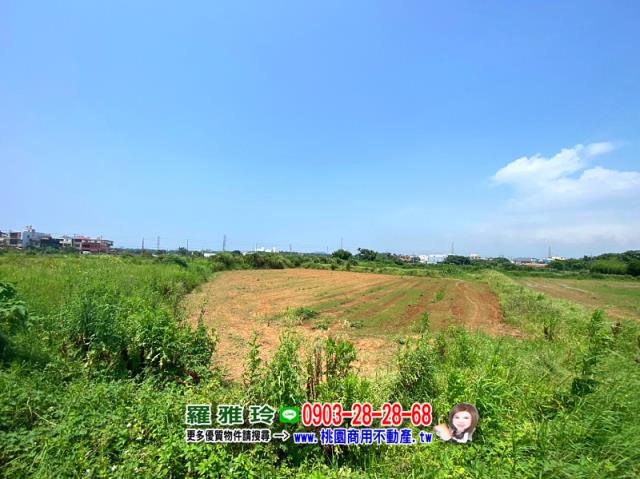 觀音農地-5