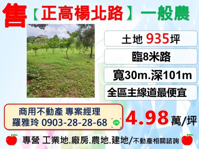 龍潭農地-0