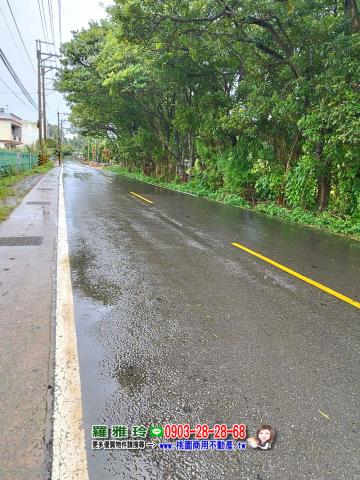 龍潭農地-5