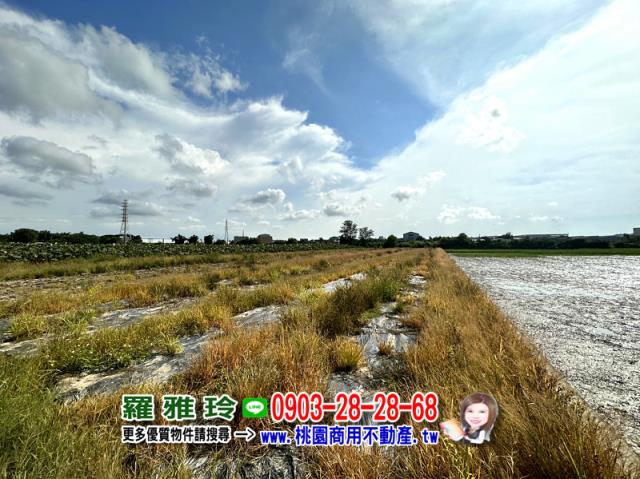 大園農地-1