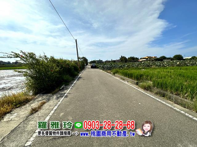 大園農地-2