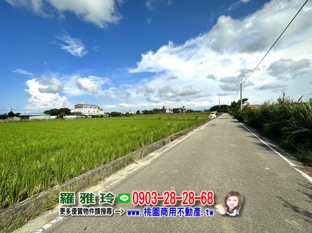 大園農地-4