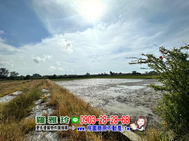 大園農地-5