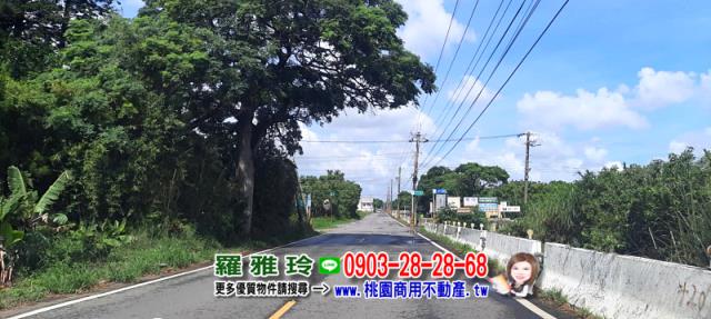 觀音農地-8