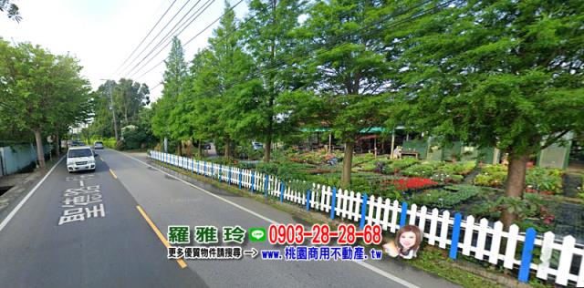 桃園農地-4