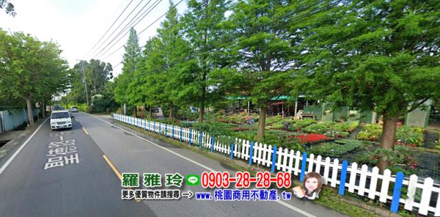 桃園農地-4