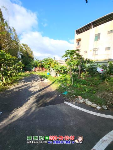 桃園農地-4