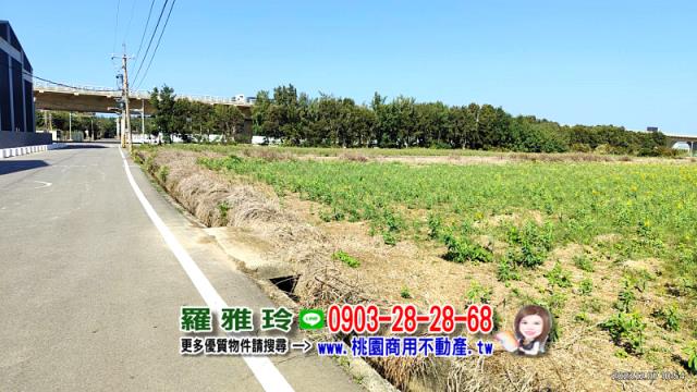 新屋農地-2