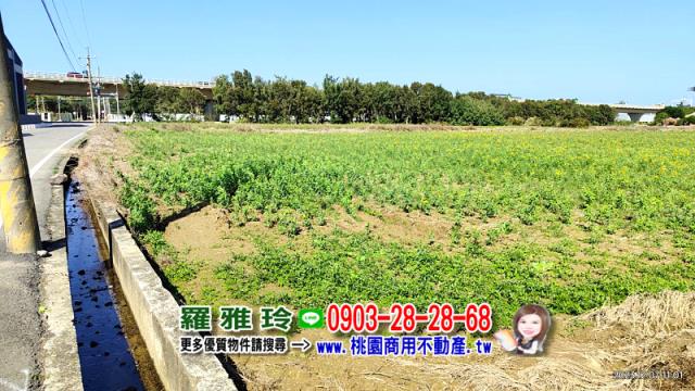 新屋農地-5
