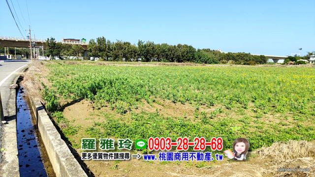新屋農地-7