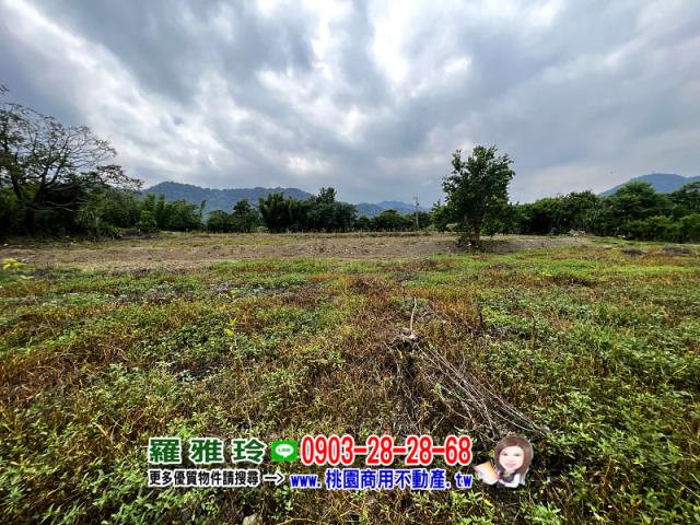桃園龍潭農地-1