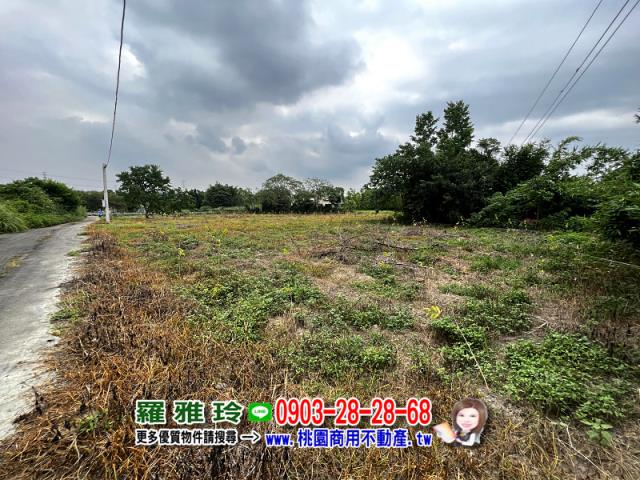 桃園龍潭農地-2