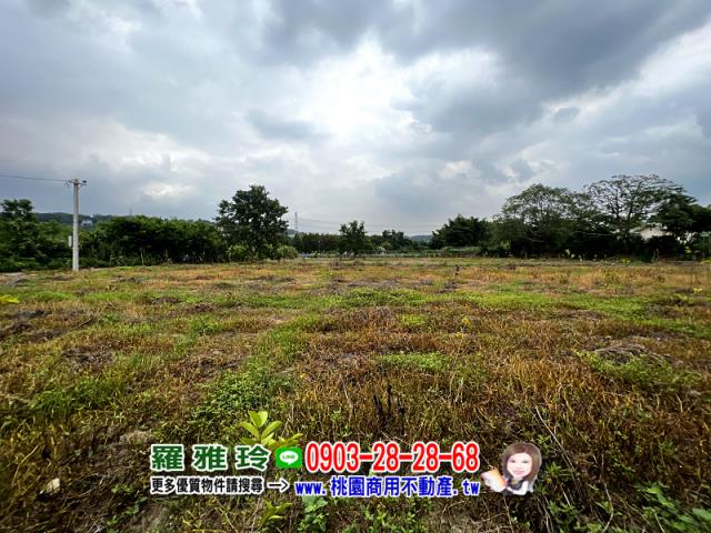 桃園龍潭農地-3