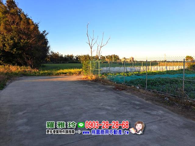 桃園龍潭農地-9
