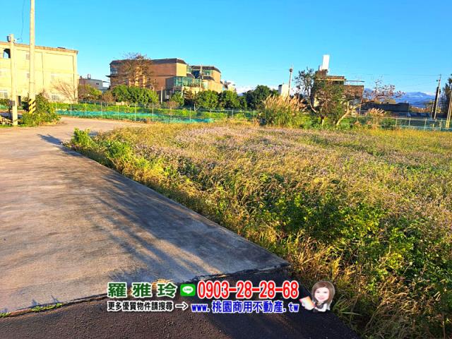 桃園龍潭農地-11