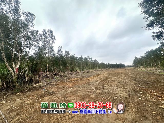 桃園觀音農地-1
