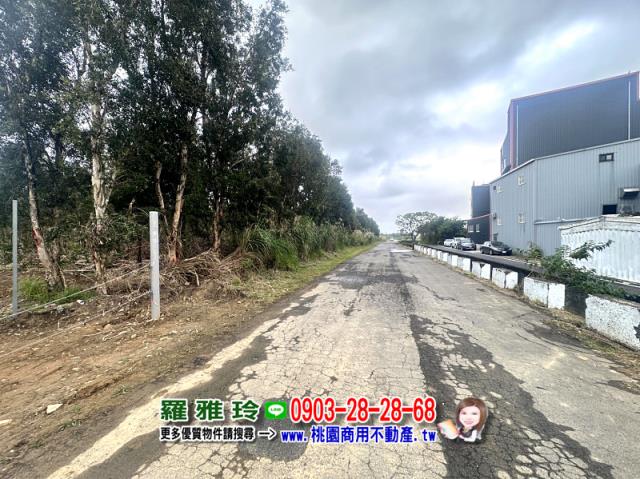 桃園觀音農地-2