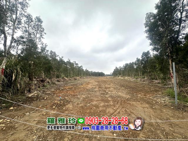 桃園觀音農地-3