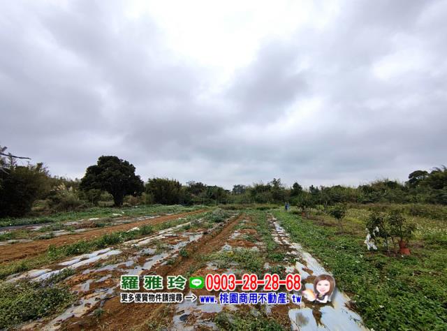 中壢農地-1