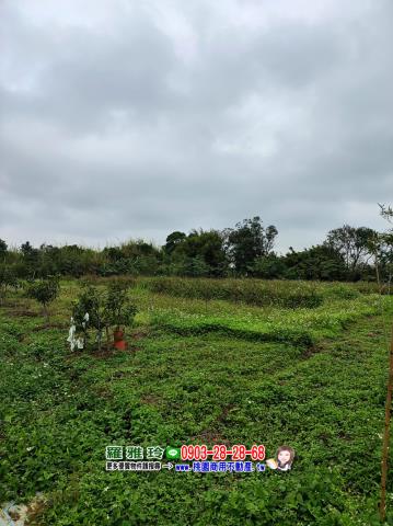 中壢農地-2
