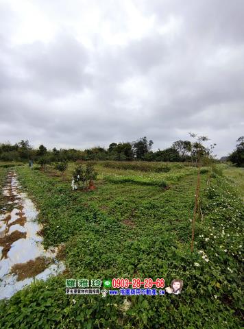 中壢農地-3