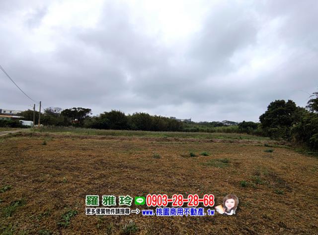 中壢農地-4