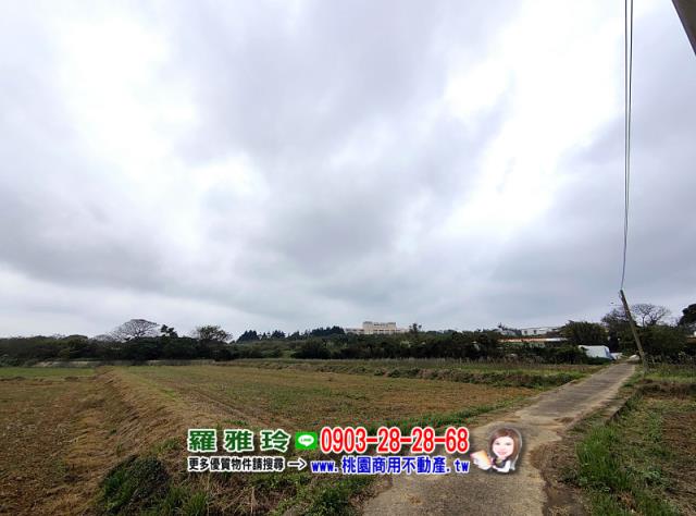 中壢農地-5