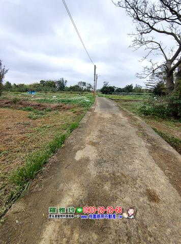 中壢農地-7