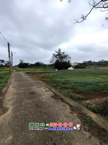 中壢農地-8