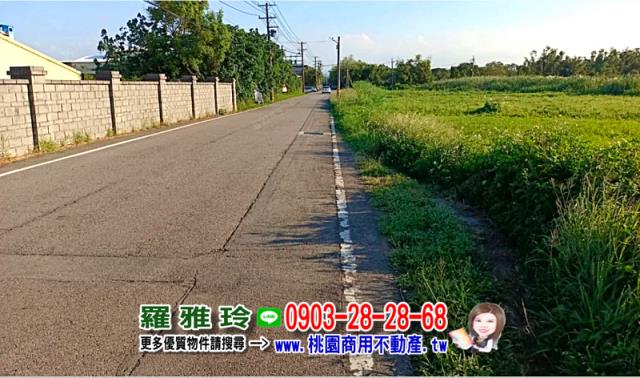 觀音農地-6