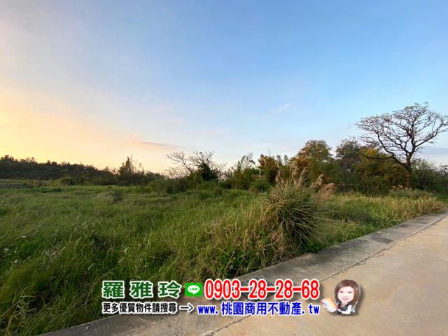 觀音農地-1
