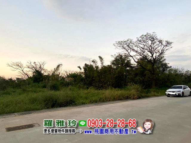 觀音農地-5