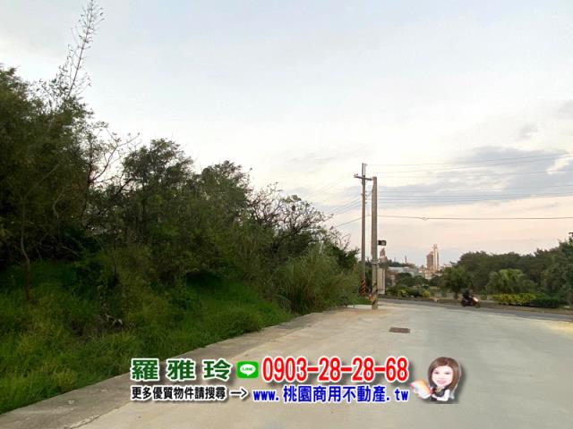 觀音農地-6