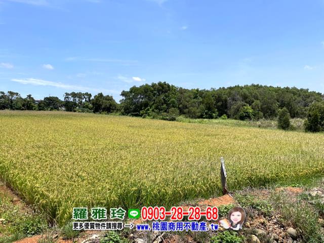 桃園新屋農地-1
