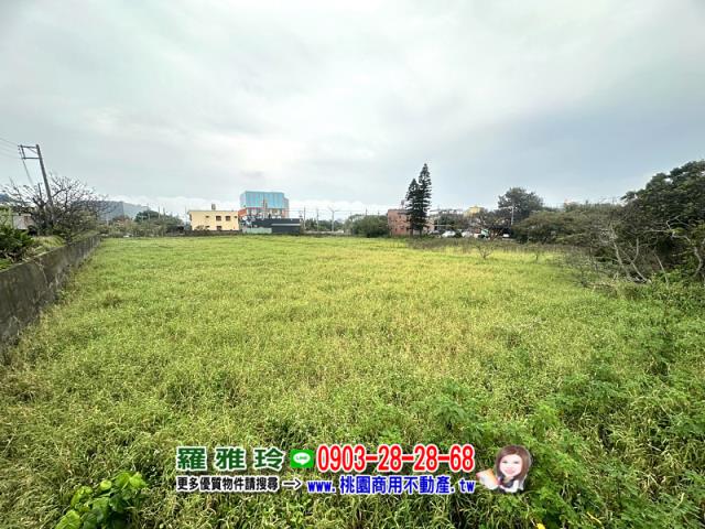 觀音農地-0