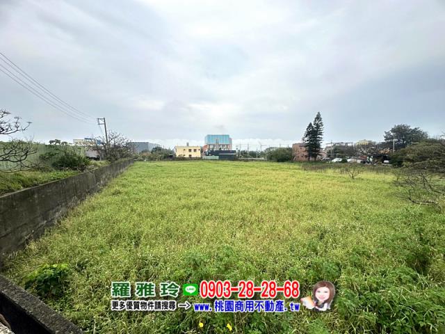 觀音農地-1