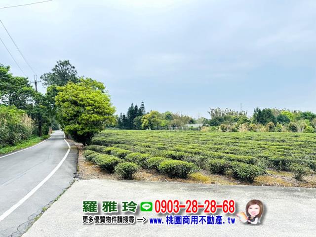 龍潭農地-2