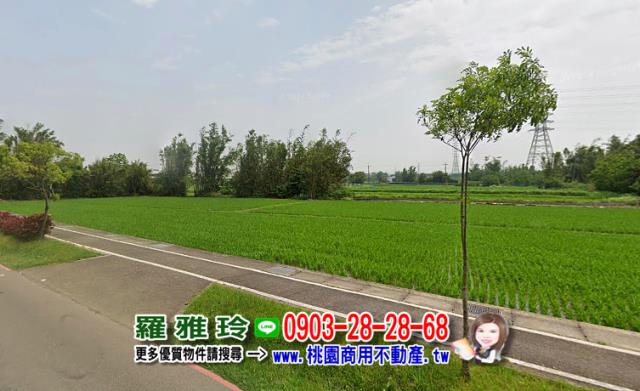 桃園建地-5