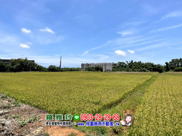 桃園農地-2