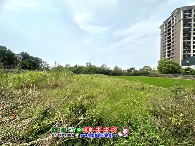 桃園中壢農地-1