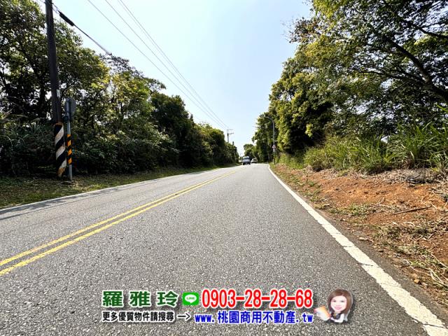 桃園桃園區農地-0