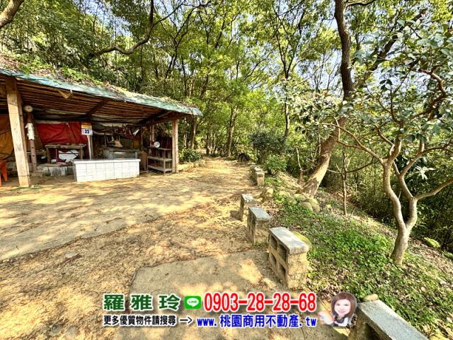桃園桃園區農地-1