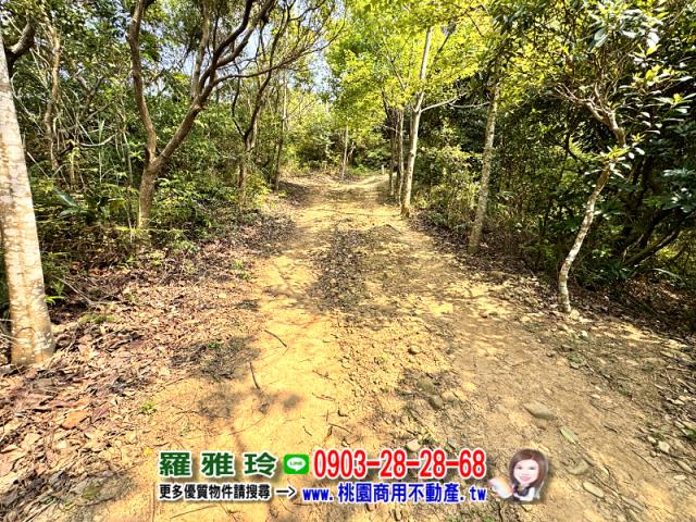 桃園桃園區農地-3