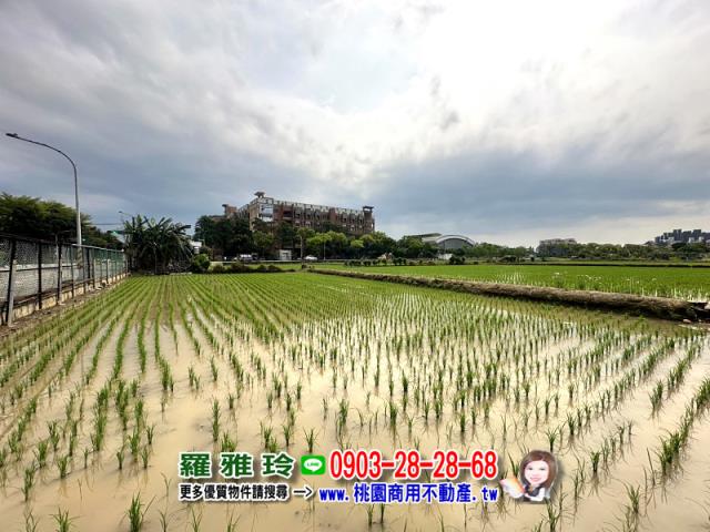 桃園桃園區農地-0