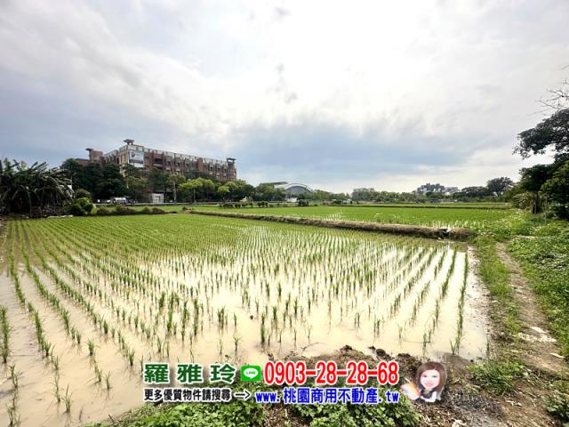 桃園桃園區農地-1