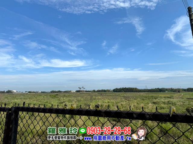 桃園新屋建地-4