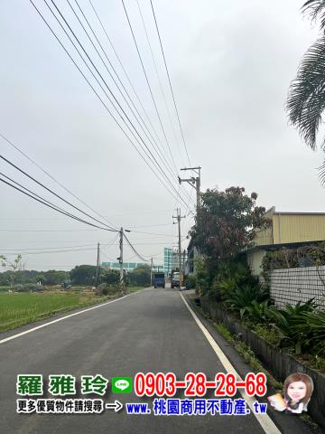 桃園新屋農地-2