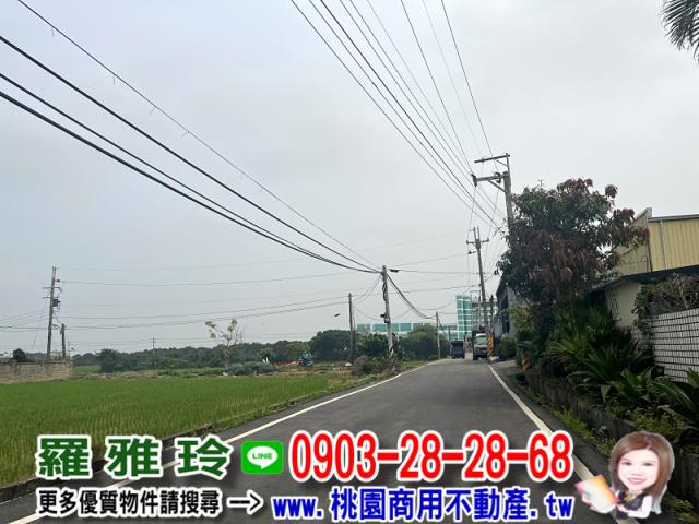 桃園新屋農地-3